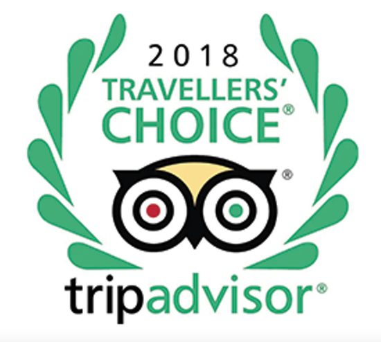 travelers choice award